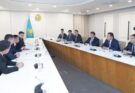 ГҮЛ ӨСІРІЛЕТІН АЛҚАП КӨЛЕМІ 20 ГЕКТАРҒА ДЕЙІН ҰЛҒАЙМАҚ