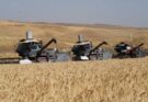 АГРОӨНЕРКӘСІП БОЙЫНША ТҮРКІСТАН ОБЛЫСЫ БІРІНШІ ОРЫНҒА ШЫҚТЫ
