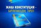 ОМБУДСМЕН: АДАМ ҚҰҚЫҚТАРЫНЫҢ БАСЫМДЫҒЫ БҮКІЛ КОНСТИТУЦИЯНЫҢ АРҚАУЫ БОЛЫП ТАБЫЛАДЫ